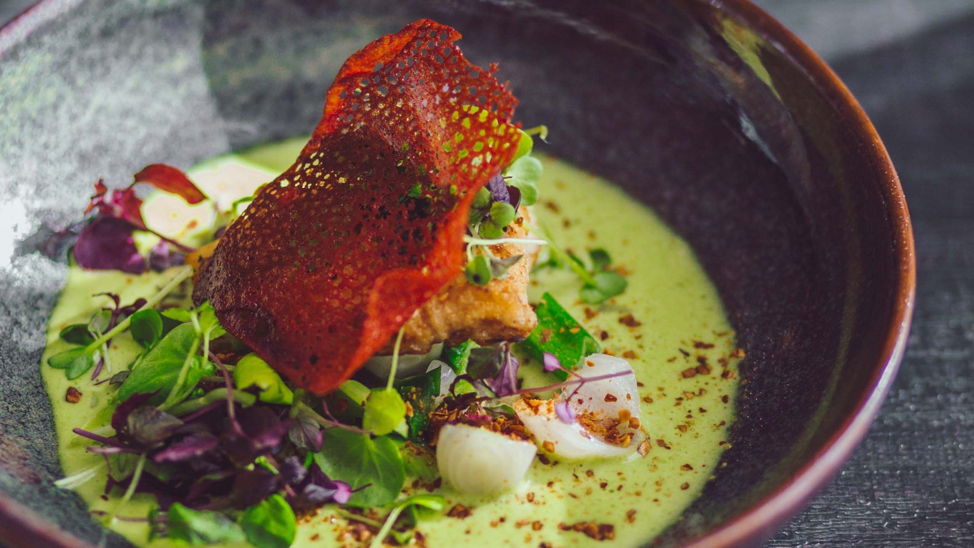 Elegantes Gericht mit grünem Püree, roter Chips und Mikrogrün in einer Schale