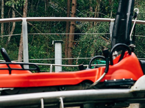 Rote Achterbahnwagen auf Schienen im Wald