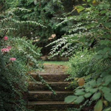 Kleine Steintreppe umgeben von grünen Pflanzen und Büschen im Garten