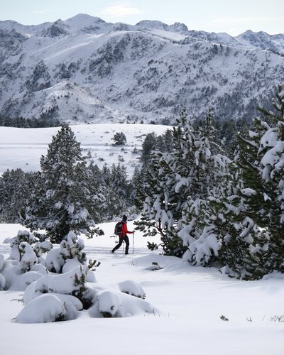 Person wandert mit Stöcken durch verschneite Berglandschaft