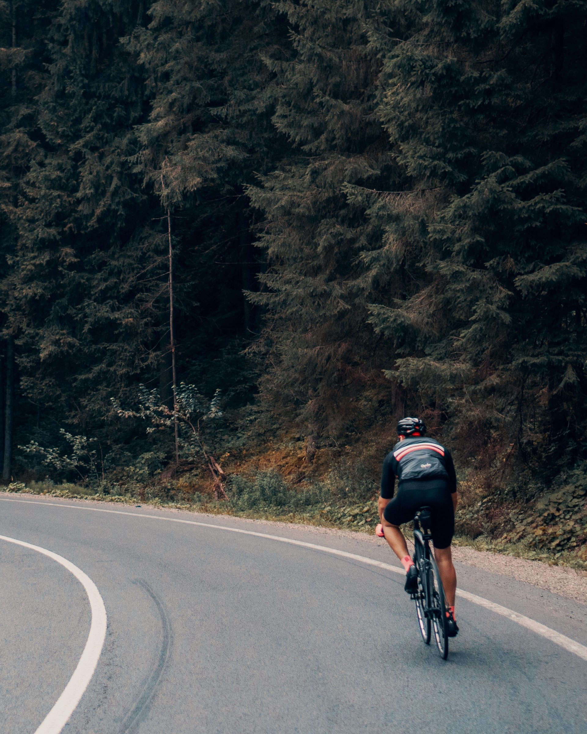 Radfahrer auf kurviger Straße entlang dichter Wälder