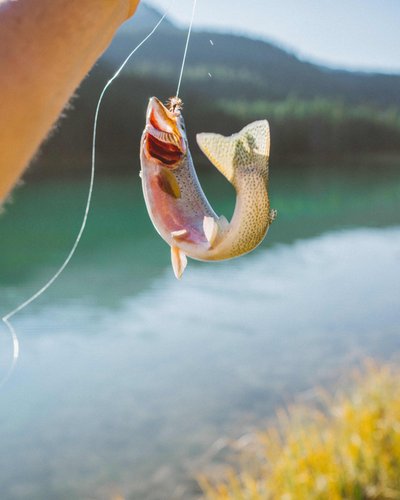 Ein gefangener Fisch wird an einer Angelrute über einem See gehalten.