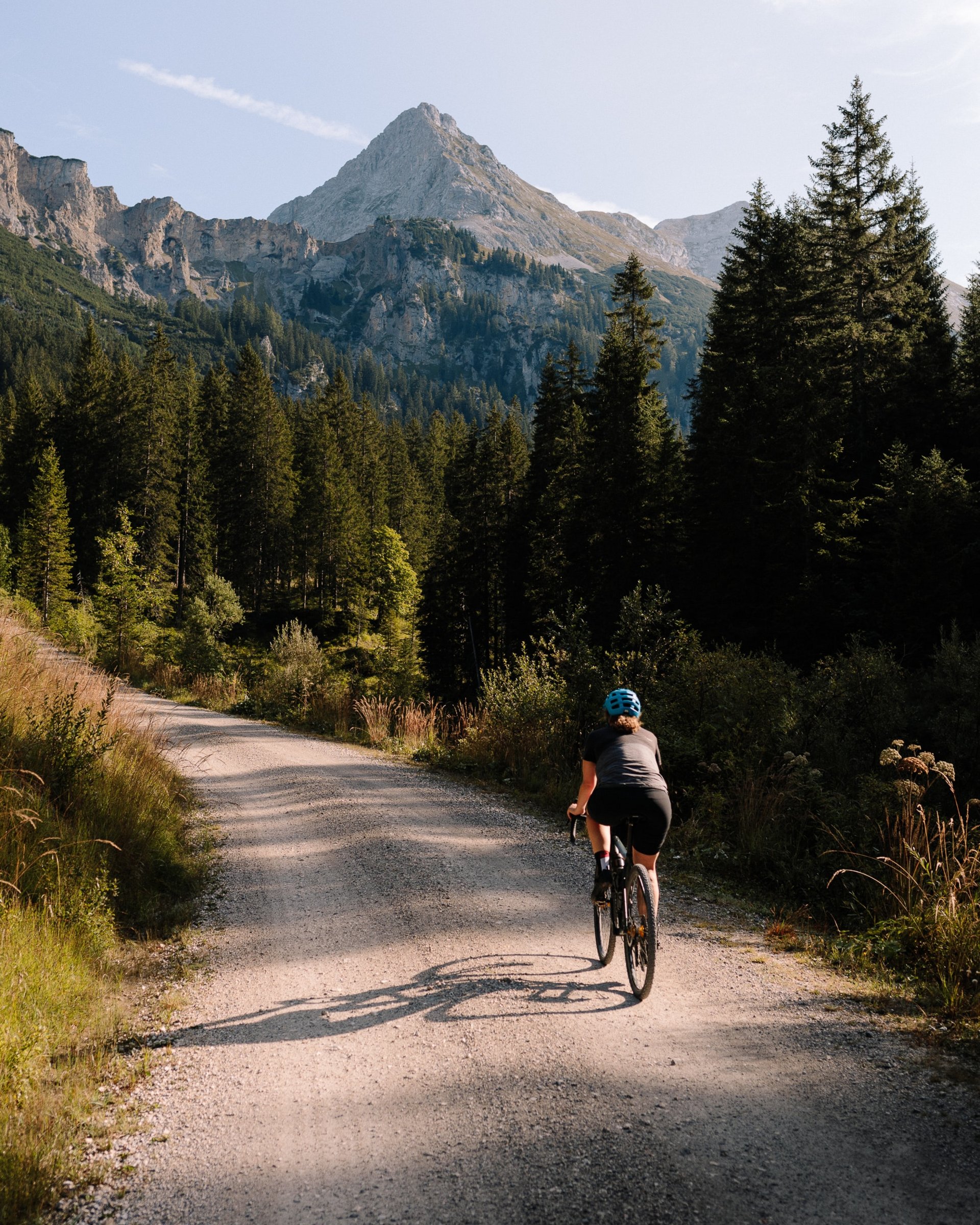 Fahrradfahrer auf Bergstraße mit Nadelwald und Berg im Hintergrund