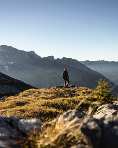 Wanderer steht auf sonnenbeschienener Bergwiese mit Alpen im Hintergrund