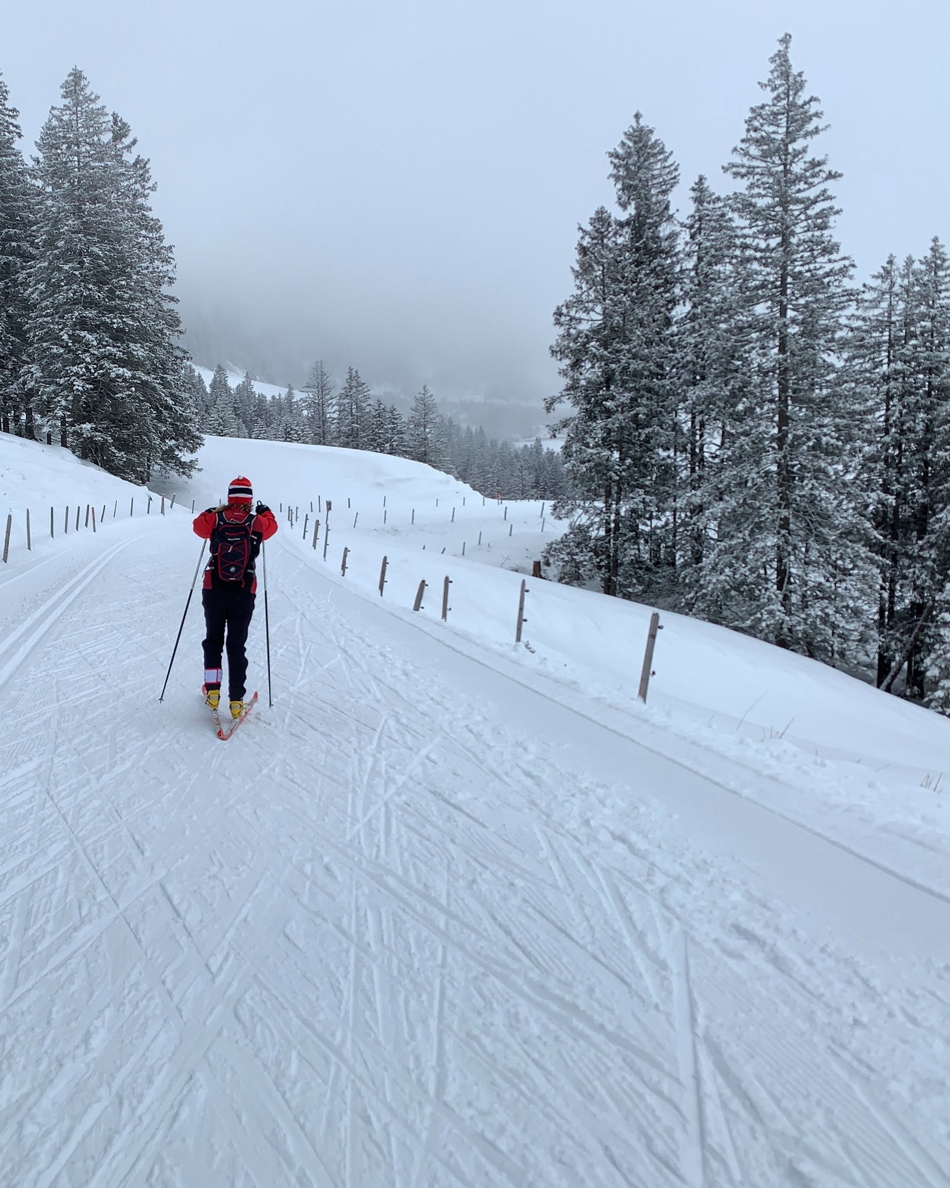 Langläufer auf verschneiter Straße mit Wald und Nebel im Hintergrund