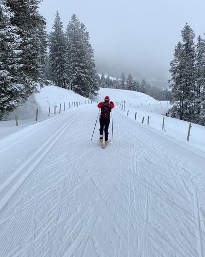Langläufer auf verschneiter Straße mit Wald und Nebel im Hintergrund