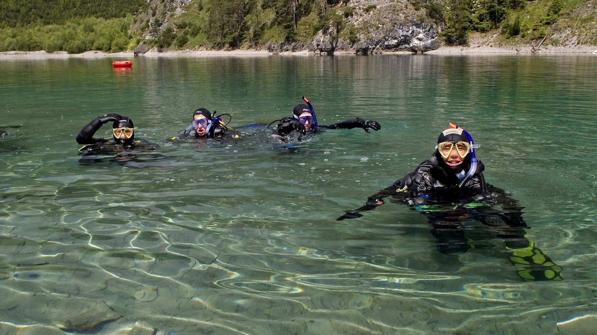 Vier Taucher im klaren Bergsee vor bewaldetem Felsen