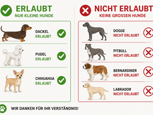 Erlaubte kleine Hunderassen Dackel, Pudel, Chihuahua und nicht erlaubte große Hunde Dogge, Pitbull, Bernhardiner, Labrador